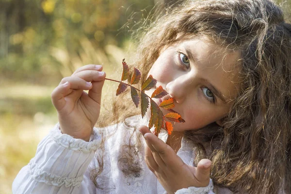 Dans la forêt d'automne, une petite belle fille avec ses cheveux est ho — Photo