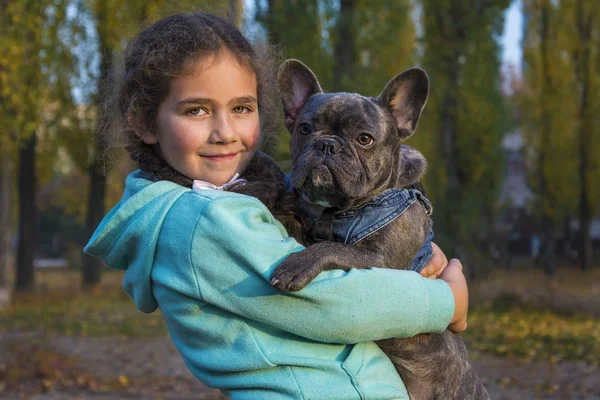 In the autumn park, a little girl holds a French bulldog in her — Stock Photo, Image