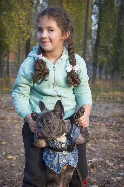 V podzimním parku drží malá holčička v sobě francouzského buldoka. — Stock fotografie