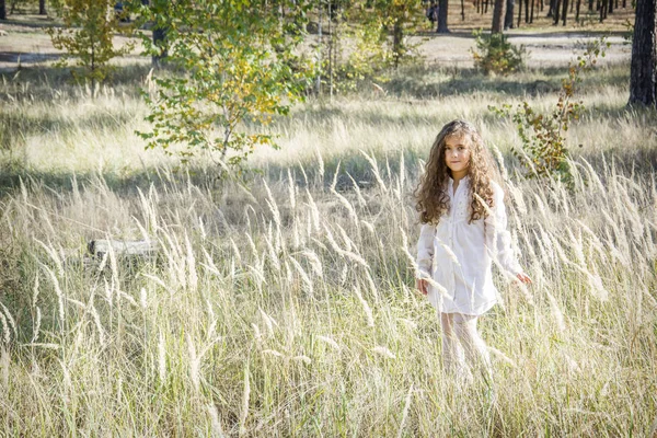 På hösten skogen i en glänta en liten vacker lockig flicka — Stockfoto