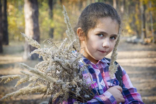 Nella foresta autunnale in una radura una piccola bella ragazza riccia — Foto Stock