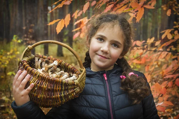 Nella foresta autunnale, una ragazza ha raccolto un cesto di funghi. . — Foto Stock