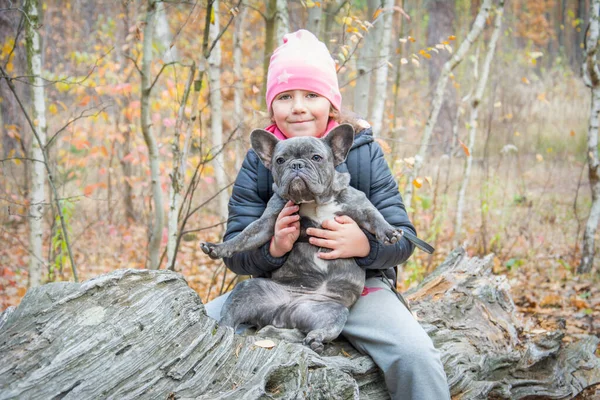 Bosque Otoño Una Niña Sostiene Bulldog Francés Gris Sus Brazos — Foto de Stock