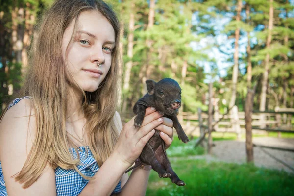明るい晴れた日に村の夏には 女の子は彼女の手に小さな豚を保持しています — ストック写真
