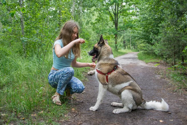 Dia Nublado Verão Floresta Uma Menina Treina Cão — Fotografia de Stock