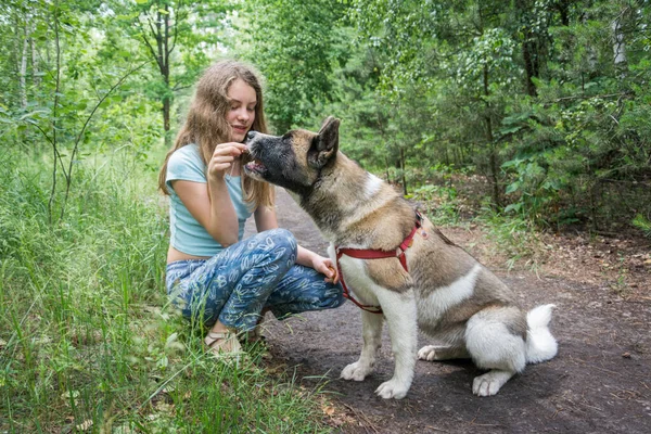 Mulen Sommardag Skogen Tränar Flicka Hund — Stockfoto