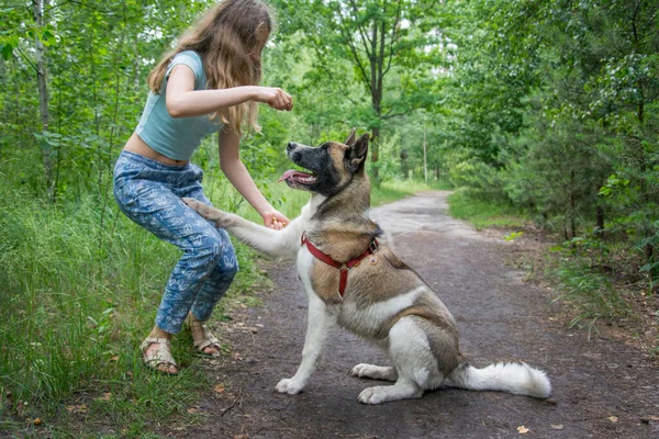 Dia Nublado Verão Floresta Uma Menina Treina Cão — Fotografia de Stock