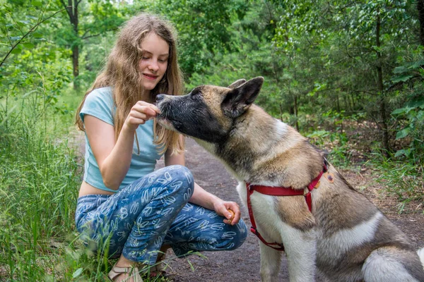 Dia Nublado Verão Floresta Uma Menina Treina Cão — Fotografia de Stock