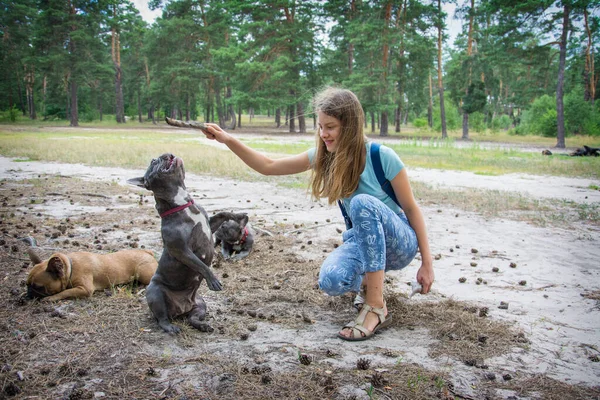Höstskogen Tränar Liten Flicka Vit Och Svartfläckig Fransk Bulldogg — Stockfoto