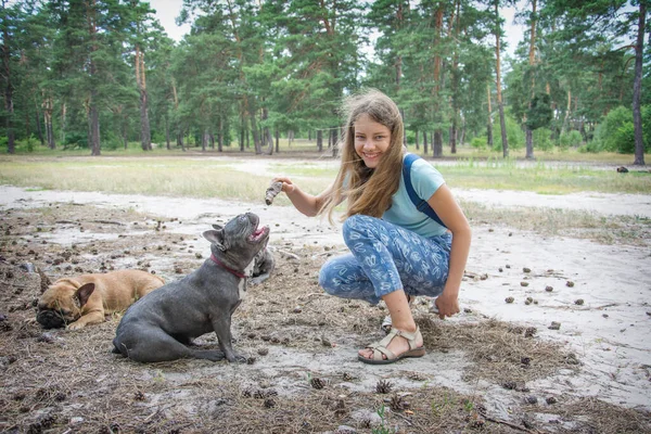 Höstskogen Tränar Liten Flicka Vit Och Svartfläckig Fransk Bulldogg — Stockfoto