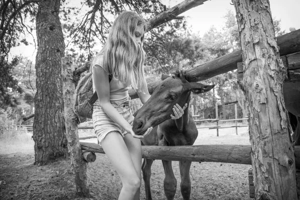 Summer Afternoon Girl Stands Stable Strokes Small Foal Black White — Stock Photo, Image