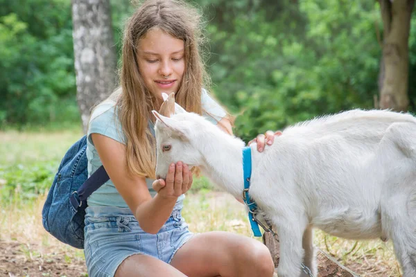 Dia Verão Ensolarado Brilhante Aldeia Uma Menina Brinca Com Uma — Fotografia de Stock