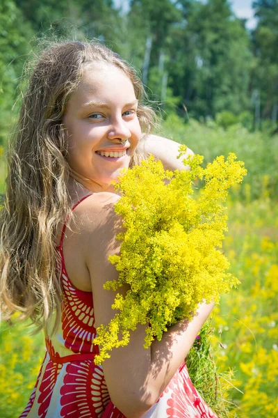 Zomer Een Heldere Zonnige Dag Een Bloeiend Veld Staat Een — Stockfoto