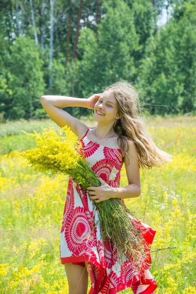 Zomer Een Heldere Zonnige Dag Een Bloeiend Veld Staat Een — Stockfoto