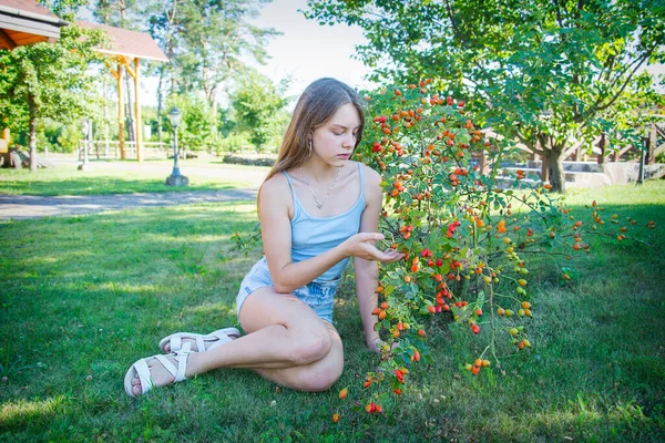 Summer Bright Sunny Day Girl Sits Rosehip Bush — Stock Photo, Image