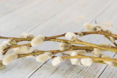 Söğüt dalları hafif ahşap bir arka plan üzerinde. Kavram Paskalya ve palmiye pazarı. Yulaf ezmeli kurabiye ve tatlılar.