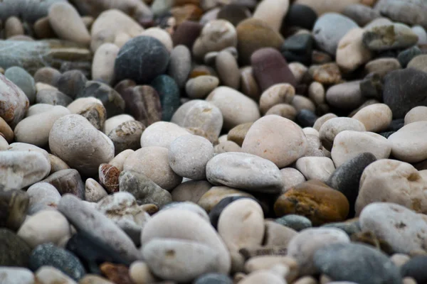 Abstrakter Hintergrund mit trockenen runden Tausteinen — Stockfoto