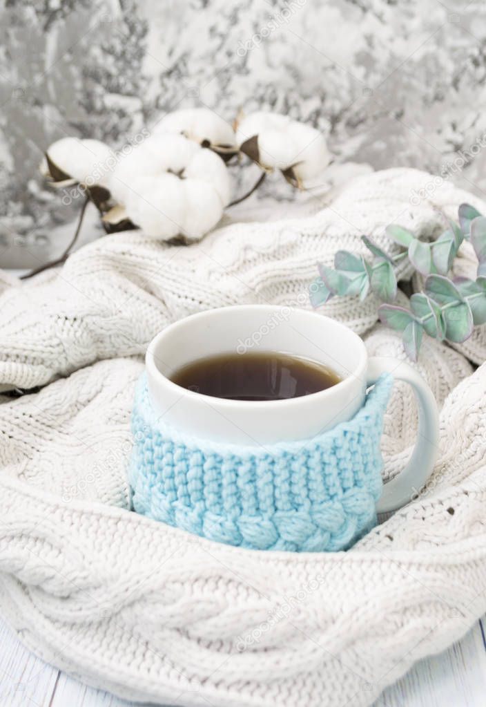 White cup with tea, coffee, in a knitted holder. Around knitted plaid, eucalyptus and cotton branches. Flatlay, there is a place for text.