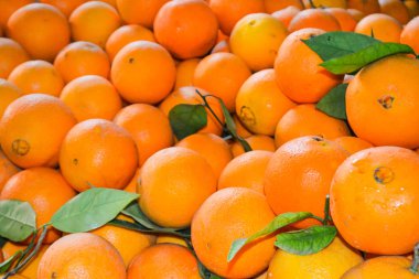 Portakal piyasada bir grup vardır