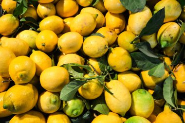 Olgun sarı limon, yalan arka plan içinde çarşı.