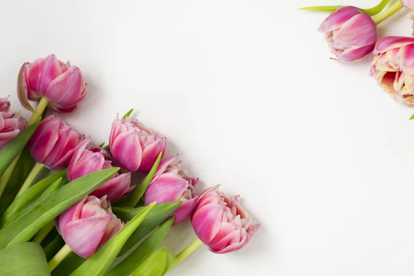 Flores rosas tulipanes ramo de flores sobre un fondo blanco . — Foto de Stock