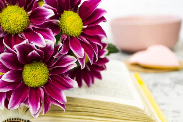 Crisântemo Rosa. As flores quilombolas com um centro amarelo estão no livro aberto do amor. Fundo desfocado . — Fotografia de Stock