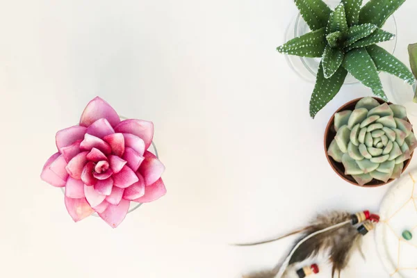 Atrapasueños con plumas sobre fondo blanco con lugar para texto . — Foto de Stock