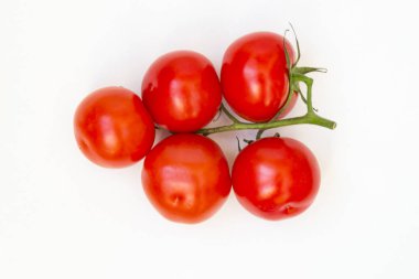 Yeşil bir dal avuç ile Organik kırmızı domates, beyaz bir arka plan üzerinde yalan. Metin için bir yer var.