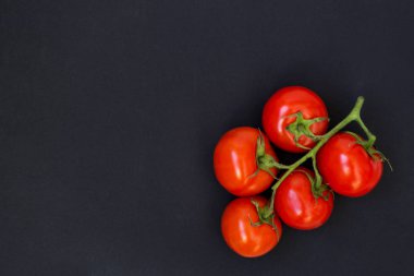 Yeşil bir dal avuç ile Organik kırmızı domates, siyah bir tebeşir tahtası arka plan üzerinde yalan. Metin için bir yer var.