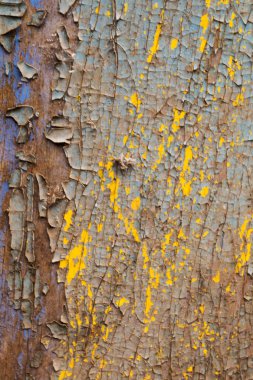 Paslı eski ahşap duvar maviye boyanmış. Ayrıntılı fotoğraf dokusu.