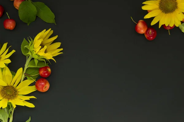 Un ramo de girasoles amarillos con manzanas rojas se encuentra sobre un fondo negro, pizarra. Concepto verano, cosecha . — Foto de Stock