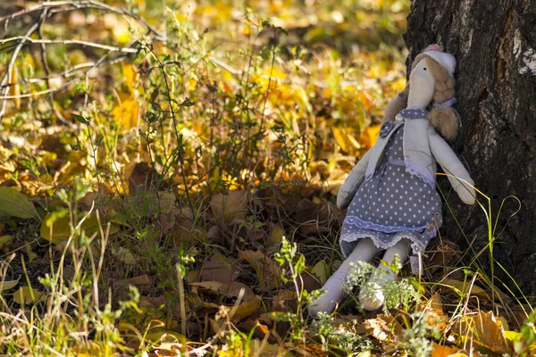 Ένα θηλυκό Tilda κούκλα με πολύχρωμα ρούχα στέκεται κοντά σε ένα κορμό σημύδας δέντρου. Εγγραφή αργιών. Εσωτερική νεράιδα κούκλα χειροποίητο. Τέχνη και δημιουργικότητα. Θαμπό φόντο. — Φωτογραφία Αρχείου