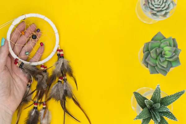 Un atrapasueños indio con plumas yace en la mano de una mujer entre cactus y suculentas sobre un fondo amarillo brillante . — Foto de Stock