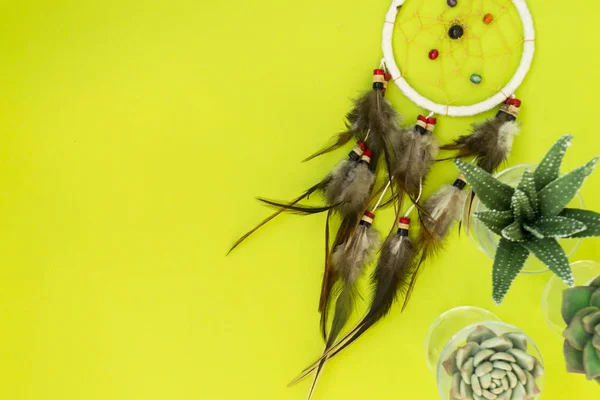 Un atrapasueños indio con plumas se encuentra entre cactus y suculentas sobre un fondo de color verde brillante . — Foto de Stock