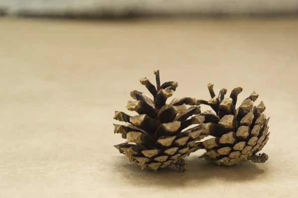 Two spruce cones lies on the craft background. The concept of winter and Christmas