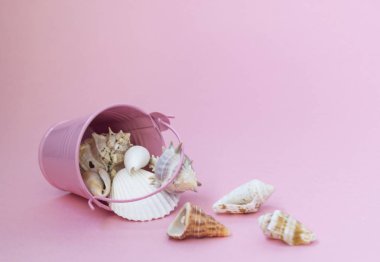 Çeşitli boyutlarda deniz kabukları pembe bir arka planda bir pembe kova dağılmış, sağda boş alan.