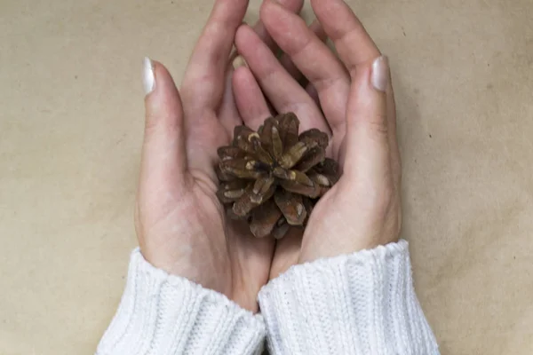 The fir-cone lies in a hand on Craft background. — Stock Photo, Image