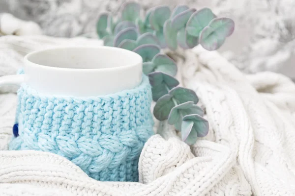 Taza blanca con té en un marco azul de punto y envuelto en un tejido a cuadros de punto blanco. En el fondo, ramitas de eucalipto y algodón. Desayuno en la cama. Acogedor . —  Fotos de Stock