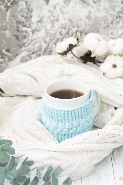 Taza blanca con té en un marco azul de punto y envuelto en un tejido a cuadros de punto blanco. En el fondo, ramitas de eucalipto y algodón. Desayuno en la cama. Acogedor . —  Fotos de Stock