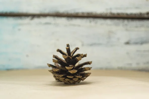 One Fir cone lies on the Crafting background.