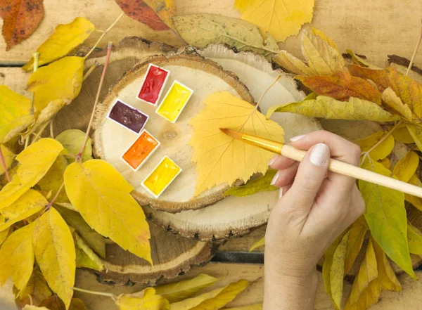 Autumn background with yellow leaves of trees, with yellow, red, orange watercolor paint, lie on wooden log cabins. The hand holds an art brush, draws.