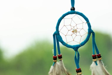 Yeşil çimenlerin ve mavi gökyüzünün arka planında bir düş kapanı. Arka plan bulanık. Boşluğu kopyala