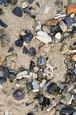 Renkli deniz taşları, doğal arka plan, doku. Renkli deniz taşlarının yakın çekim dokusu. Deniz arka planı ve plaj.