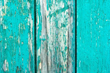 Eski kırsal boyalı çatlak yeşil, turkuaz ahşap doku veya arkaplan.