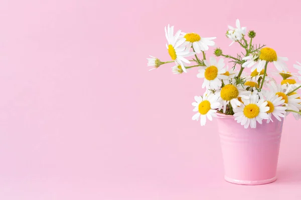 Arreglo Floral Con Margaritas Blancas Pie Cubo Color Rosa Sobre — Foto de Stock