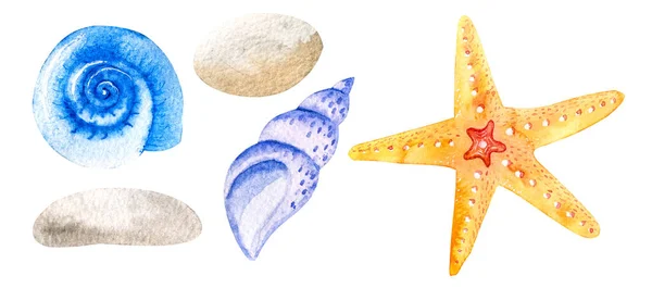 白い背景に描かれた手描きの水彩オレンジヒトデの貝殻 海洋分離帯 — ストック写真