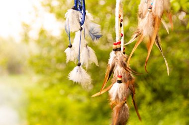 Gün batımında fotokopi alanı, sembol, gelenek ve işaretlerle düş kapanı. Boho stil yakalayıcıları rüzgarda gelişir, fotokopi alanı, sembolü, geleneği, işaretleri olan bitkilerin bulanık yeşil arka planına karşı. boho tarzı.