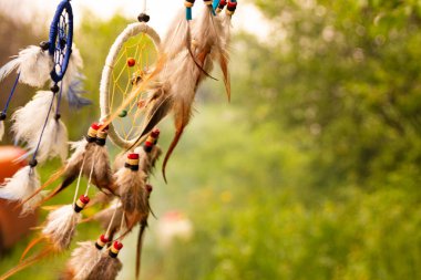 Gün batımında fotokopi alanı, sembol, gelenek ve işaretlerle düş kapanı. Boho stil yakalayıcıları rüzgarda gelişir, fotokopi alanı, sembolü, geleneği, işaretleri olan bitkilerin bulanık yeşil arka planına karşı. boho tarzı.