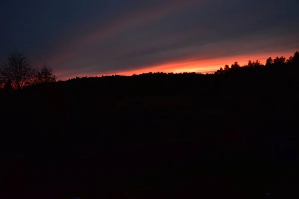 Sonnenuntergang Über Dem Wald — Stockfoto