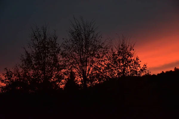 Puesta Sol Sobre Bosque — Foto de Stock